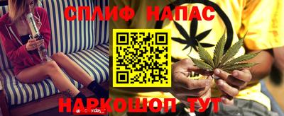 прущие грибы Ипатово