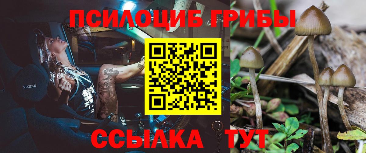 Галлюциногенные грибы MAGIC MUSHROOMS Красный Сулин