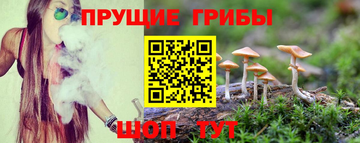 Псилоцибиновые грибы Magic Shrooms  Галлюциногенные грибы Psilocybine cubensis  Красный Сулин  Вход с VPN 